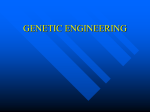 GENETIC ENGINEERING