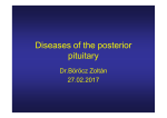 Diseases of the posterior pituitary