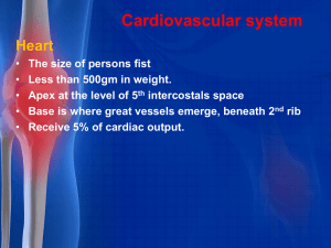 Cardiovascular system1
