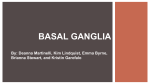 BASAL GANGLIA