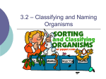 3.2 * Classifying and Naming Organisms