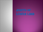 Joints of lower limb