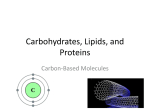 Carbohydrates, Lipids, and Proteins