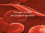 Changes in DNA can produce variation