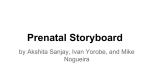 Prenatal Storyboard