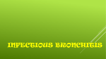 Infectious Bronchitis