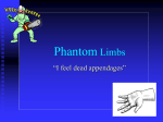 Phantom Limbs