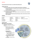 Main Concept #3: Describe how the process of DNA replication