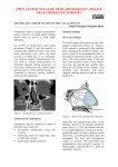 Septoplasty - Vula - University of Cape Town