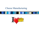 Cheese Manufacturing