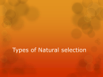 Types of Natural selection