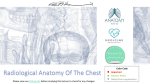 6-Radiological Anatomy Of The Chest