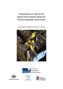 National Recovery Plan for the Regent Parrot