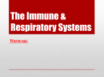 respiratory system