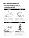 KEYSTONE SPECIES KEEP ECOSYSTEMS TOGETHER