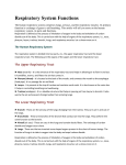 Respiratory System Functions