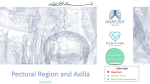 6-Pectoral Region and Axilla2016-12