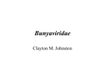 Bunyaviridae by Clayton M. Johnston