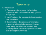 Taxonomy PowerPoint