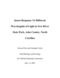 Insect Response To Different Wavelengths of Light in