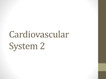 Systemic and Pulmonary Circulation