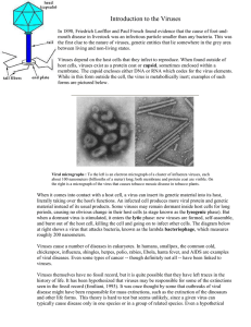 Introduction to the Viruses