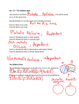 PS Ch. 3.3 Notes (completed)