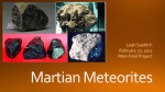 Martian Meteorite - Department of Earth and Planetary Sciences