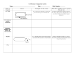 Cell Wall Cell Membrane Flagella Cell Structure Comparison Activity