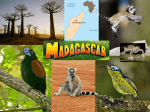 Madagascar - WordPress.com