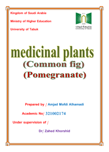 3-Punicalagin, a polyphenol in pomegranate juice, downregulates