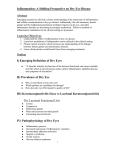 Inflammation in Dry Eye and Corneal Wound Healing