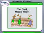 The Fluid Mosaic Model