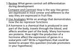 Ch 13 RNA and Protein Synthesis