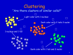 Knowledge Discovery in Databases