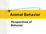 Animal Behavior