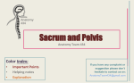 6.Sacrum and Pelvis 2014-12-23 07:012.5 MB