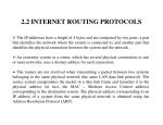 2.2 INTERNET ROUTING PROTOCOLS