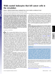 TRAIL-coated leukocytes that kill cancer cells in the circulation