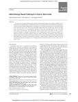 DNA Damage Repair Pathways in Cancer Stem Cells