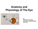 Anatomy and Physiology of The Eye