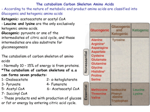 The catabolism Carbon Skeleton Amino Acids