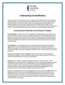 Understanding Corneal Blindness Handout