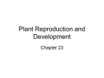 23.2 Sexual Reproduction in Plants