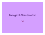 Biological Classification