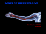 Bones of upper limb