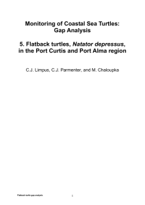 Monitoring of Coastal Sea Turtles: Gap Analysis 5. Flatback turtles