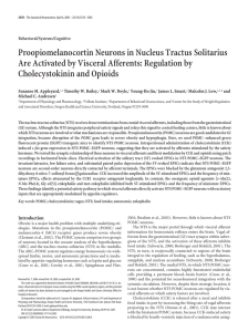 Proopiomelanocortin Neurons in Nucleus Tractus Solitarius Are