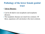 Pathology of the Female Genital Tract - 1