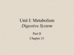 Digestive System Part II